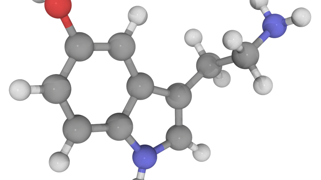 Serotonina